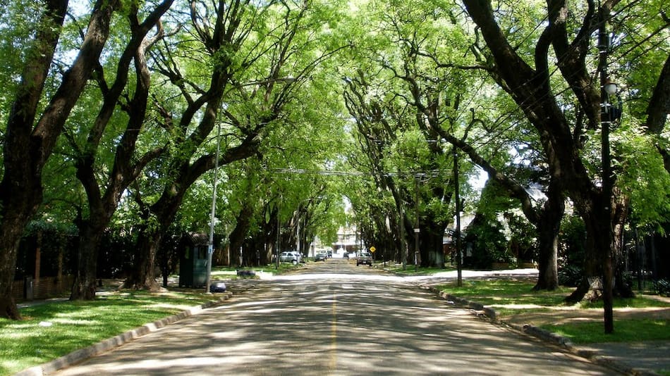 La calle escondida de Buenos Aires que enamora con su túnel verde.