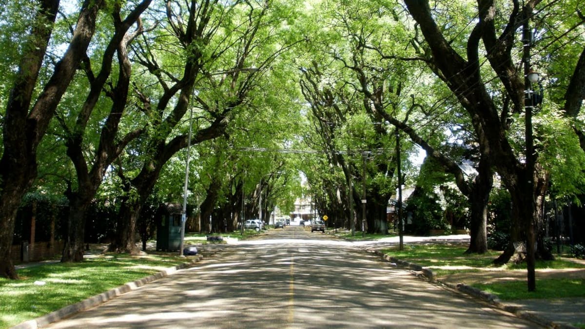 Un barrio de Buenos Aires se transforma por 3 días.
