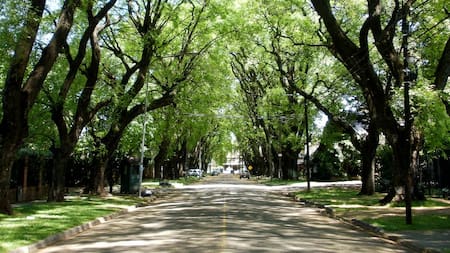 Un barrio de Buenos Aires se transforma por 3 días: festejos con shows en vivo, food trucks y feria artesanal por su aniversario