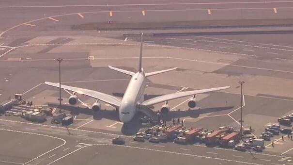 Alerta en Nueva York: ponen avión en cuarentena con al menos 10 personas enfermas