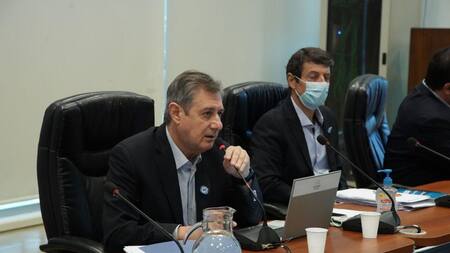 Reunión de comisión en Diputados por la Ley de Biocombustibles