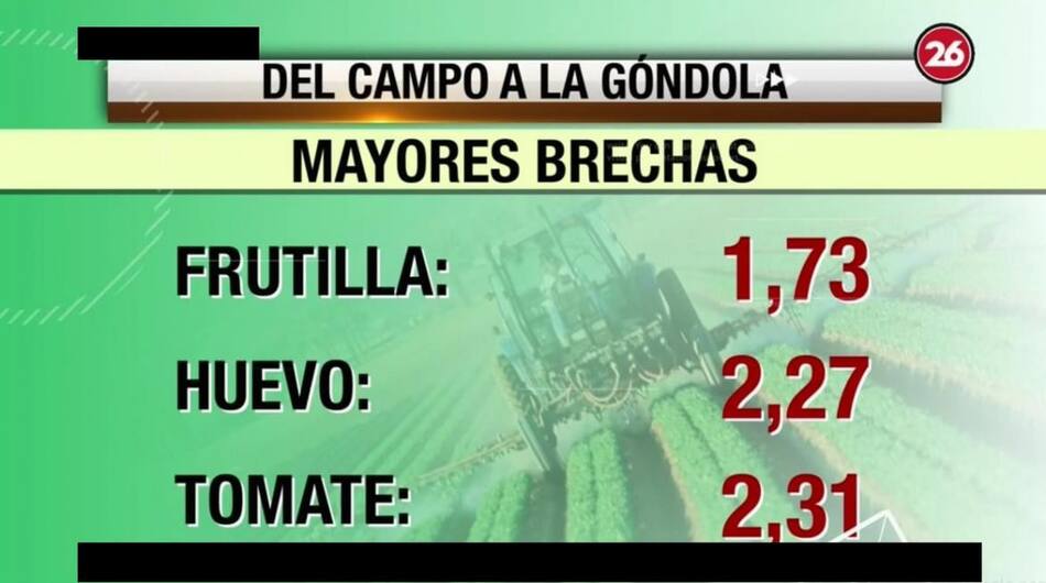 Brecha de precios entre campo y góndola, Canal 26