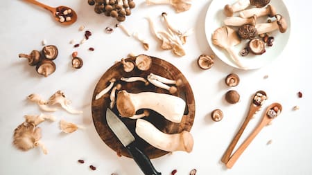 Hongos. Foto: Unsplash