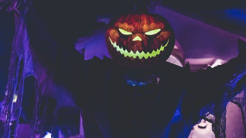 Halloween; calabazas. Foto: Unsplash.