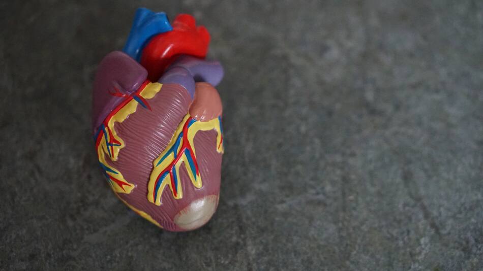 Para mejorar la salud cardiaca es clave tener una alimentación sana. Foto: Unsplash