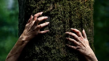 Una fobia poco conocida crece en silencio: amenaza la salud humana y el ambiente