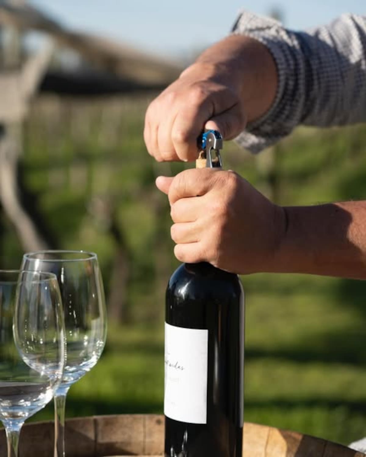 Bodega Las Antípodas