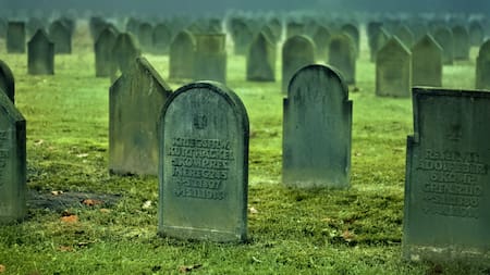 Huesos humanos son triturados para producir una droga. Foto: Unsplash