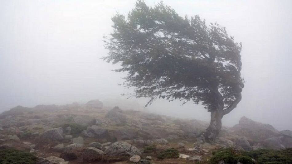 Alerta en varias provincias por vientos muy fuertes. Foto: NA.