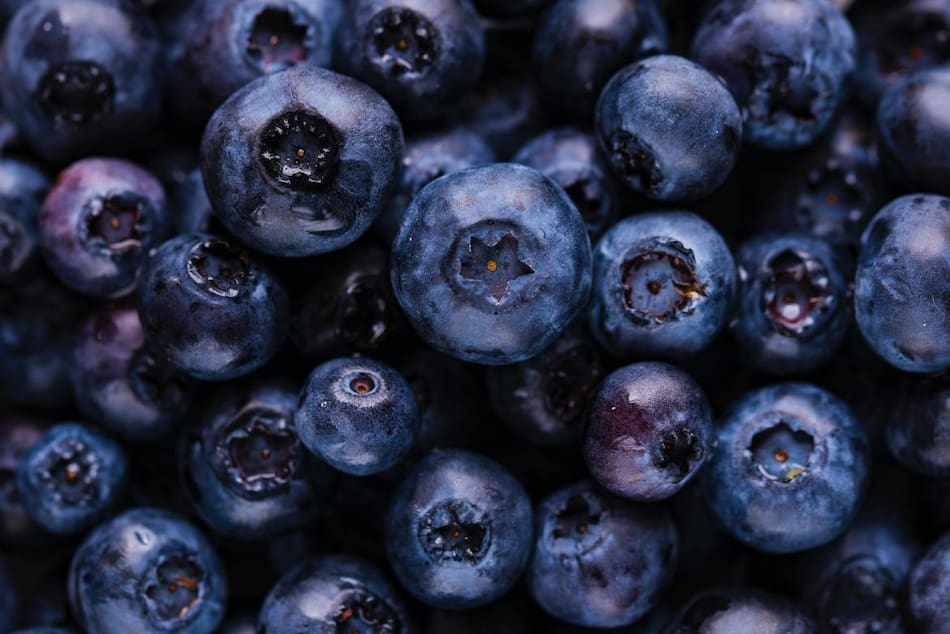 Arándanos. Foto: Unsplash, gentileza, Joanna Kosinska