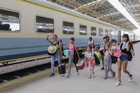 Trenes de larga distancia. Foto: NA.