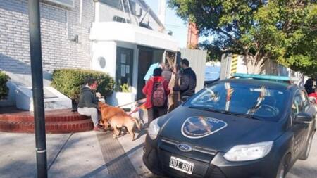 Tragedia en Belgrano: un automovilista atropelló a un paseador y mató a cuatro perros