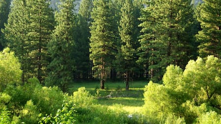 La desertificación está aumentando en todo el mundo. Foto Unsplash.
