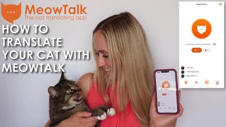 MeowTalk, la app que permite comunicarse con los gatos. Foto: Gentileza MEOWTALK.