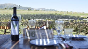 Vino argentino: el Gobierno flexibilizó los controles en la industria y eliminó más de 900 normas