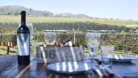 Vino argentino: el Gobierno flexibilizó los controles en la industria y eliminó más de 900 normas