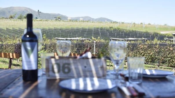 Vino argentino: el Gobierno flexibilizó los controles en la industria y eliminó más de 900 normas