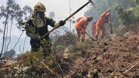 Riesgos de incendios forestales en Colombia debido al fenómeno de El Niño. Foto: EFE.