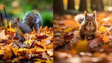 Números preocupantes: 4 de cada 10 personas no distingue una imagen real de una creada con inteligencia artificial