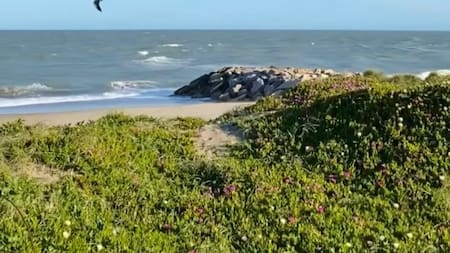 Mar de Cobo. Foto: @mar.de.cobo