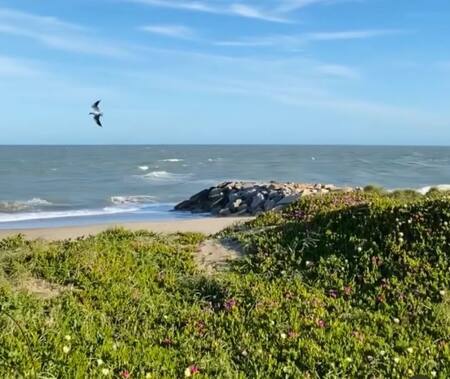 Mar de Cobo. Foto: @mar.de.cobo