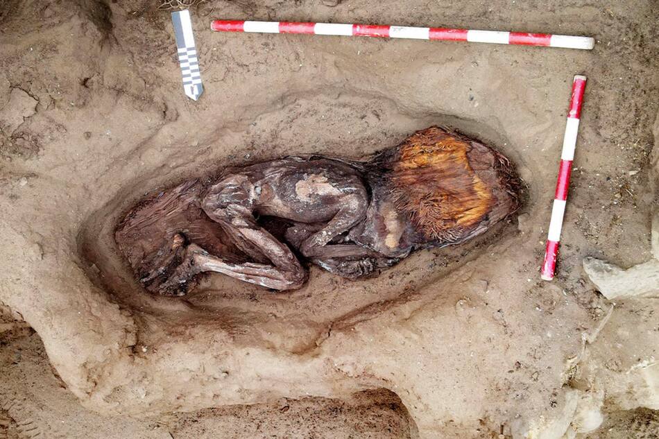 Tumba de una mujer de casi 5 mil años encontrada en Perú. Foto: EFE.