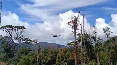 Trágico accidente aéreo en el Darién, la frontera entre Colombia y Panamá. Foto: captura de video.