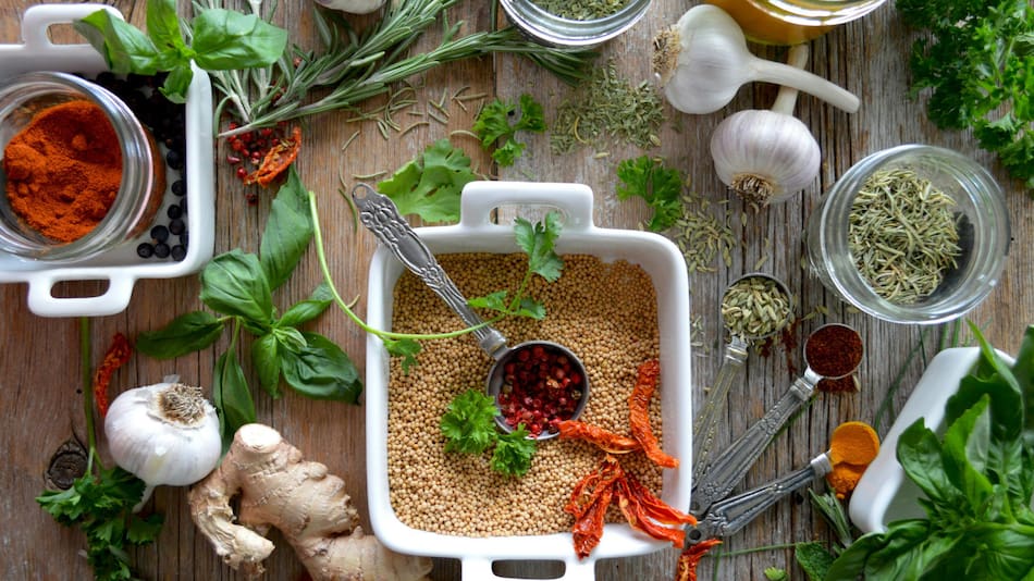 Plantas medicinales. Foto: Unsplash.