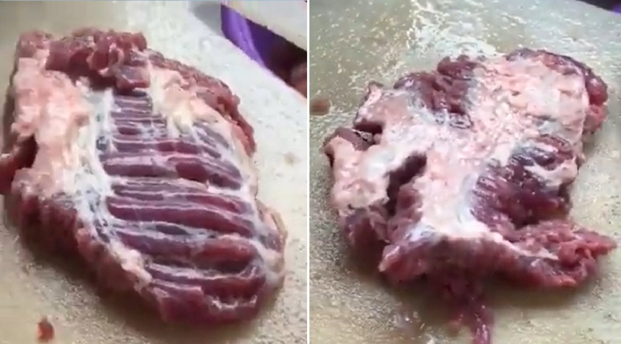 Un pedazo de carne cruda se comenzó a mover.
