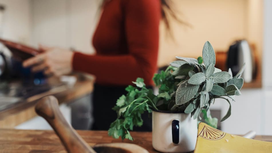 Salvia. Foto: Unsplash