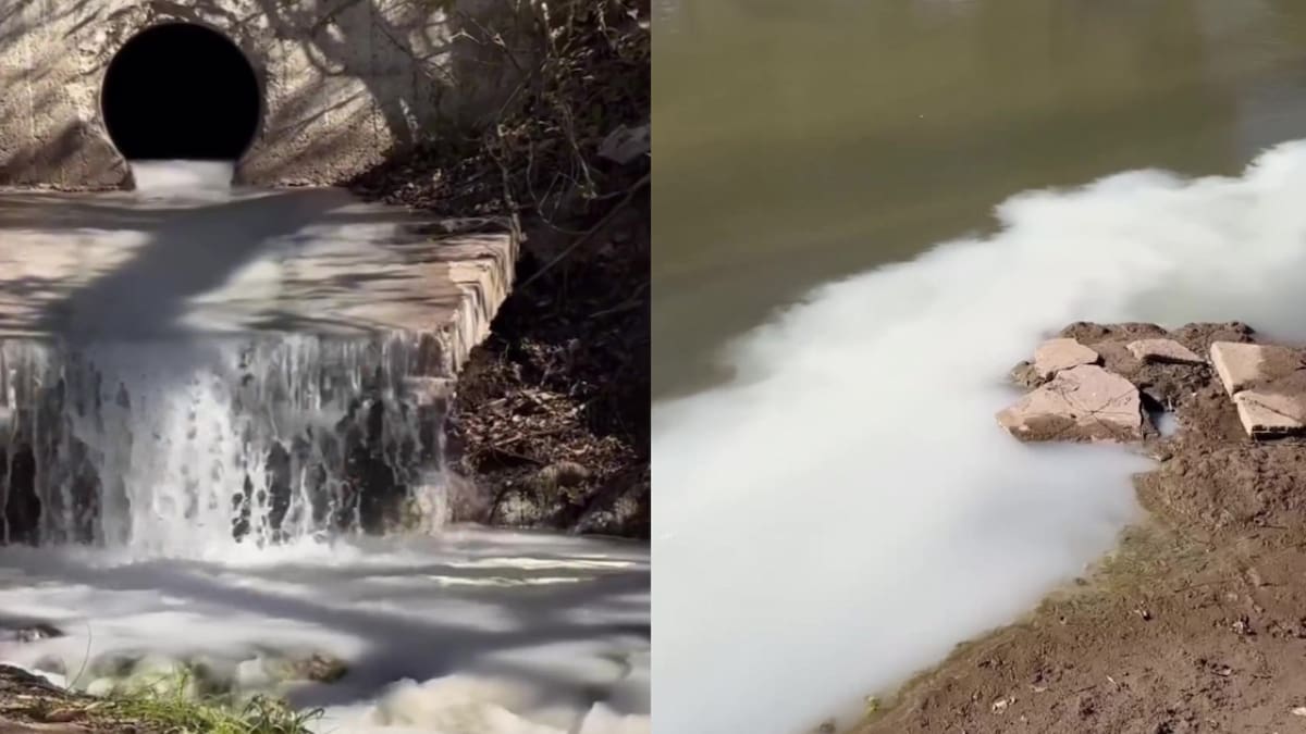 Denuncian ecocidio en Córdoba: un líquido proveniente de una empresa local estaría contaminando el río Calamochita
