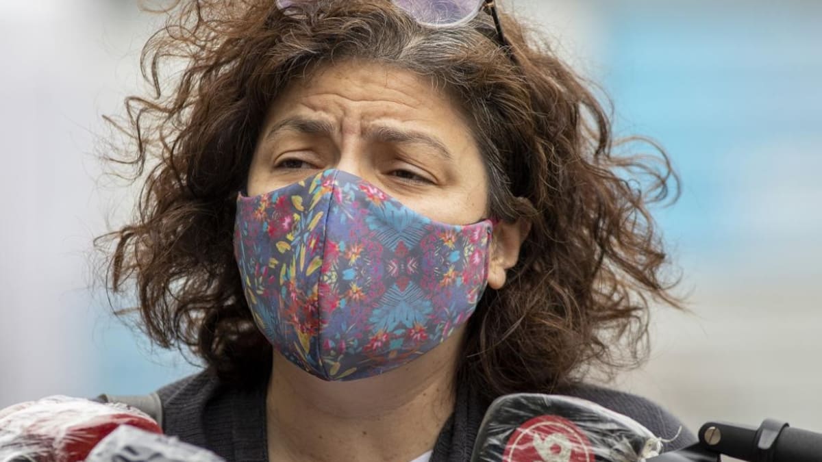 Carla Vizzotti, ministra de Salud de la Nación, Ministerio de Salud, NA