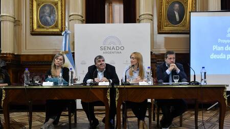 Oficialismo presentó en el Senado una nueva moratoria jubilatoria. Foto: NA.