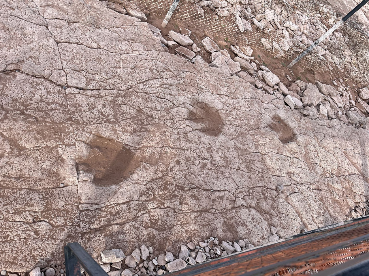 Huellas de dinosaurios en Villa el Chocón, Neuquén. Foto: Pato Daniele