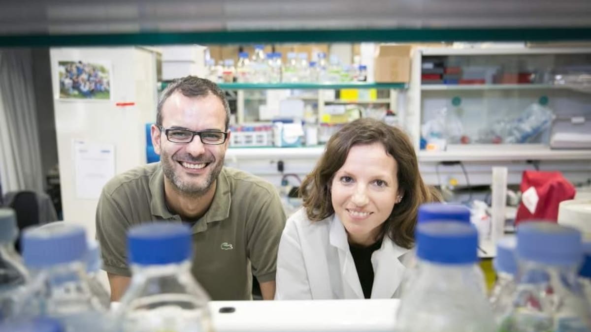Científicos españoles en lucha contra el cáncer