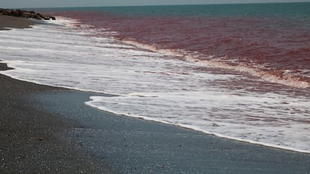 Una de las islas más impresionantes del mundo sorprende con su playa y agua de color rojo: cómo es y dónde queda la llamativa área costera