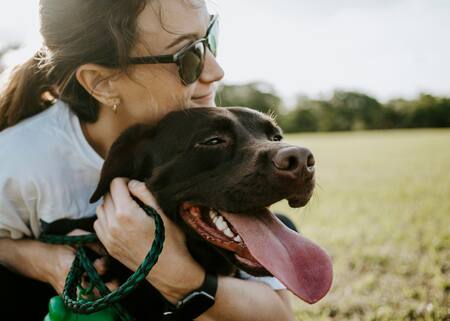 Perros, mascotas, dueños. Foto: Unsplash