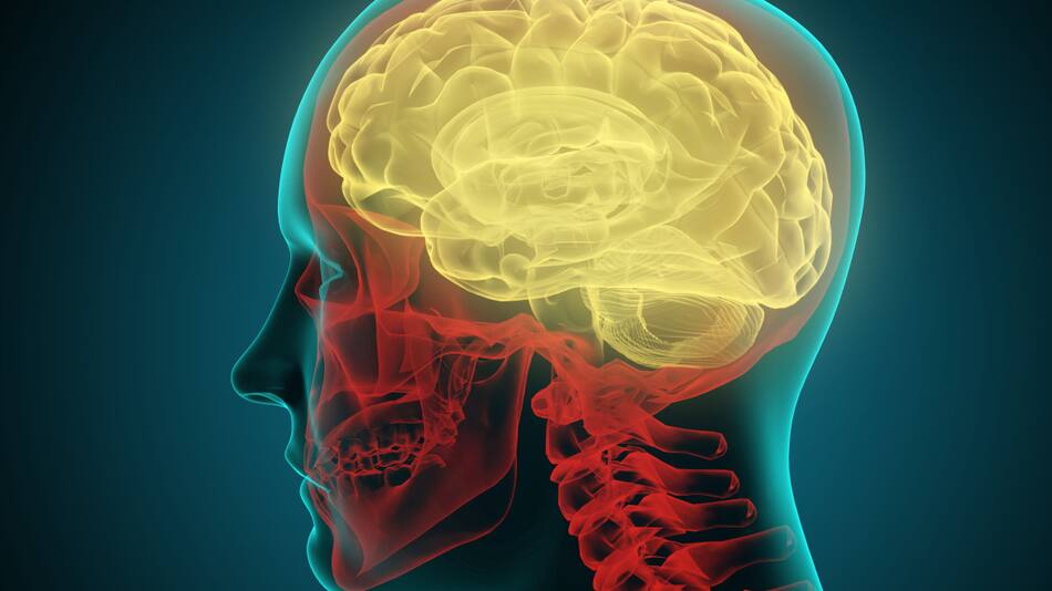 Cerebro humano. Foto: Alamy