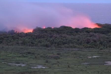 Puerto Madero, incendio en Reserva Ecológica, el humo cubrió cinco barrios, Twitter