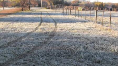 Heladas en Buenos Aires. Foto: NA