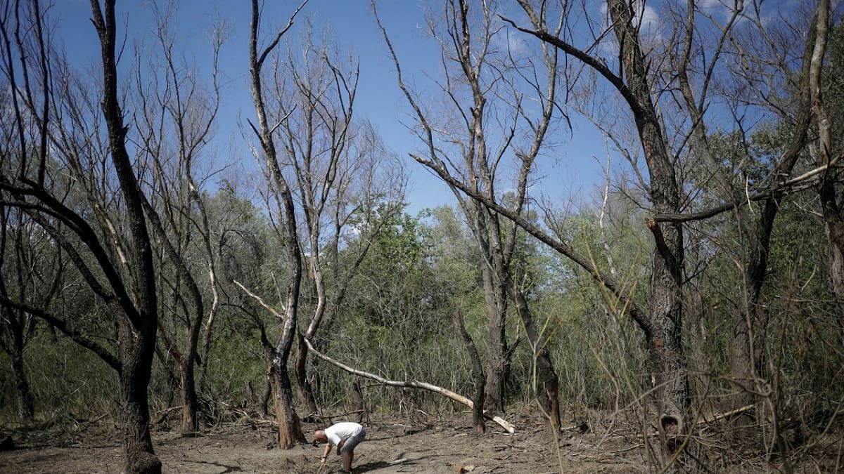 La zona donde Rumania halló restos de drones "similiares a los rusos" en la frontera con Ucrania. Foto: Reuters.