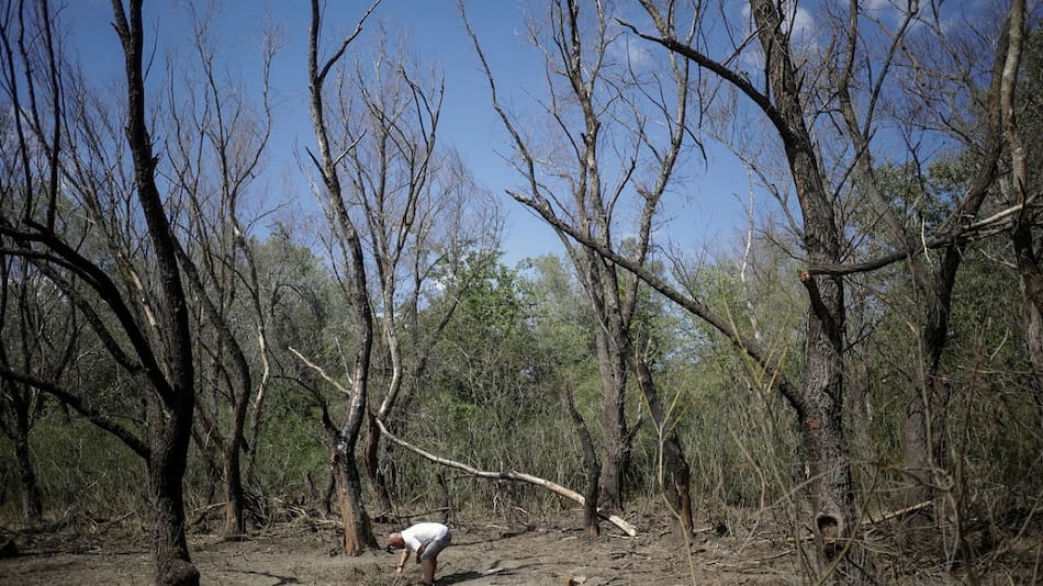 La zona donde Rumania halló restos de drones "similiares a los rusos" en la frontera con Ucrania. Foto: Reuters.