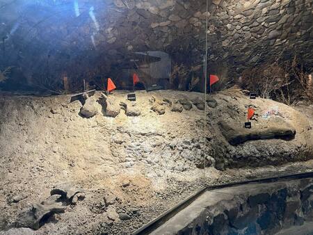 Bodega Schroeder de San Patricio del Chañar, Neuquén. Foto: Pato Daniele
