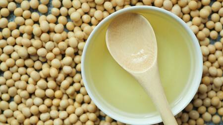 La Justicia avaló la inhibición de Aduana de la operatoria de comercio exterior de una aceitera. Foto: Aduana.