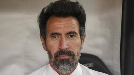 Eduardo Domínguez, director técnico, fútbol argentino, NA