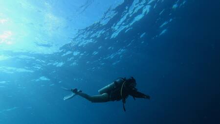 Buzo. Foto: Unsplash