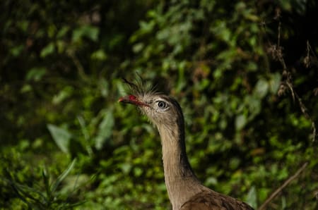 Parque Nacional El Rey. Fuente: Parques Nacionales