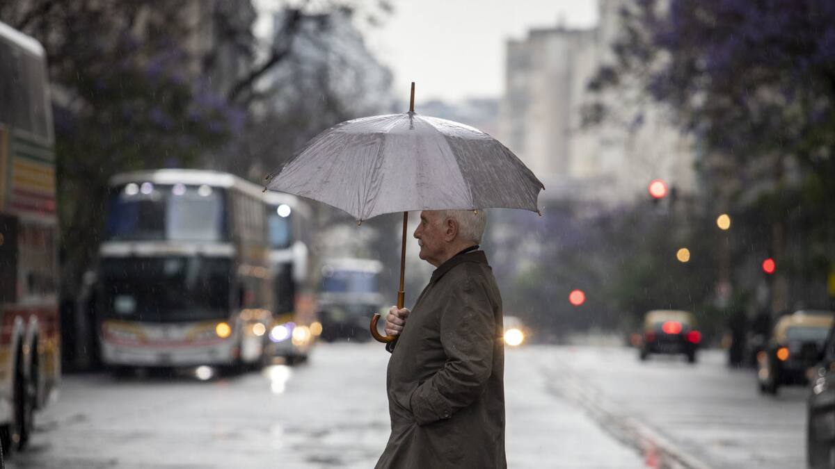 Lluvias, tormentas. Foto: NA/Damián Dopacio.