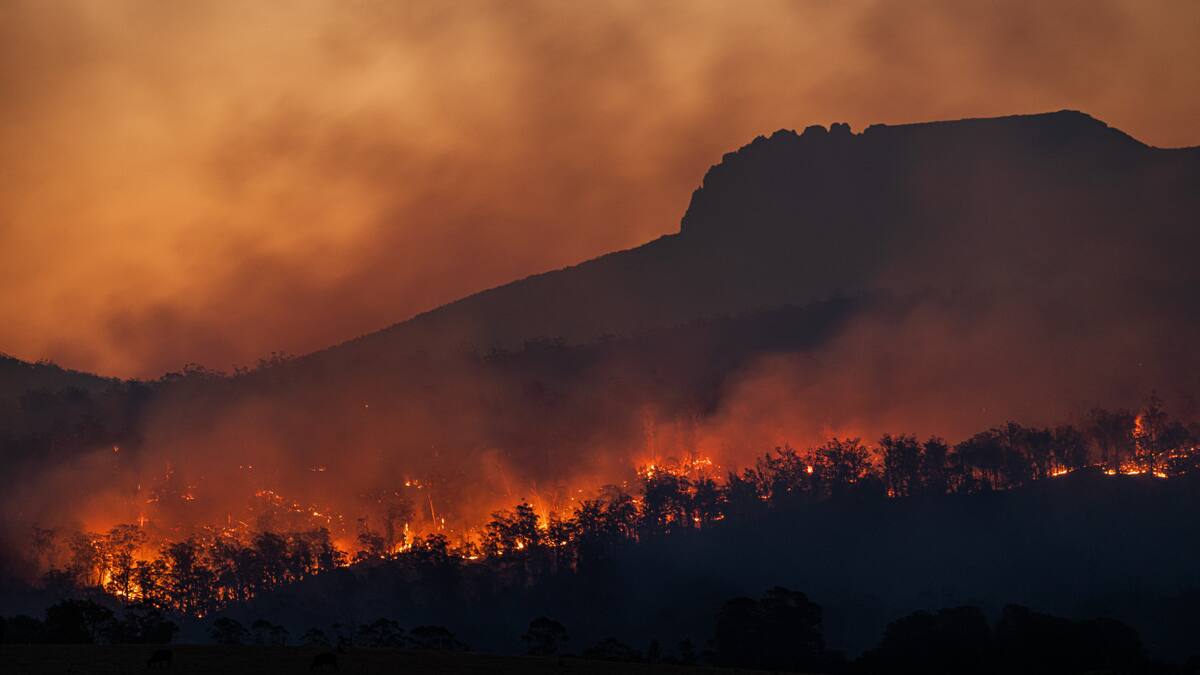 Un tercio de las personas aún duda sobre la crisis climática, según un estudio científico. Unplash