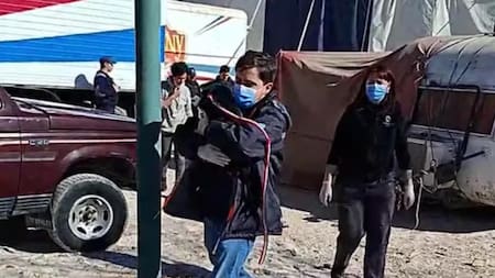 Más de 10 perros maltratados fueron rescatados de un circo: estaban encerrados, atados y vivían entre excrementos